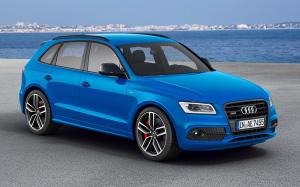 Audi SQ5 TDI Plus (8R) (WW) '2015 - 17